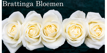 Brattinga bloemen dongen